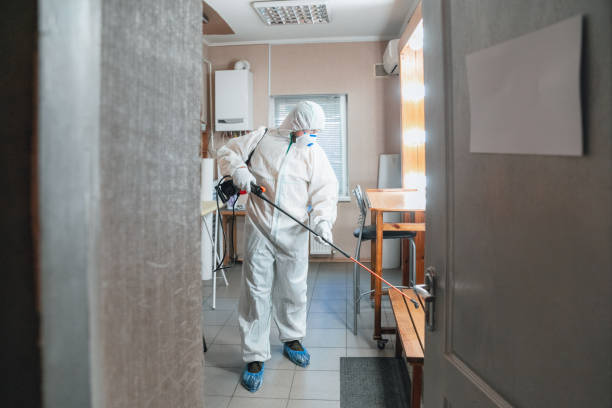 Best Residential Mold Inspection & Testing  in Taylorsville, KY